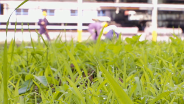 im�羺��(�й�)���Ӿ���ƽ̨