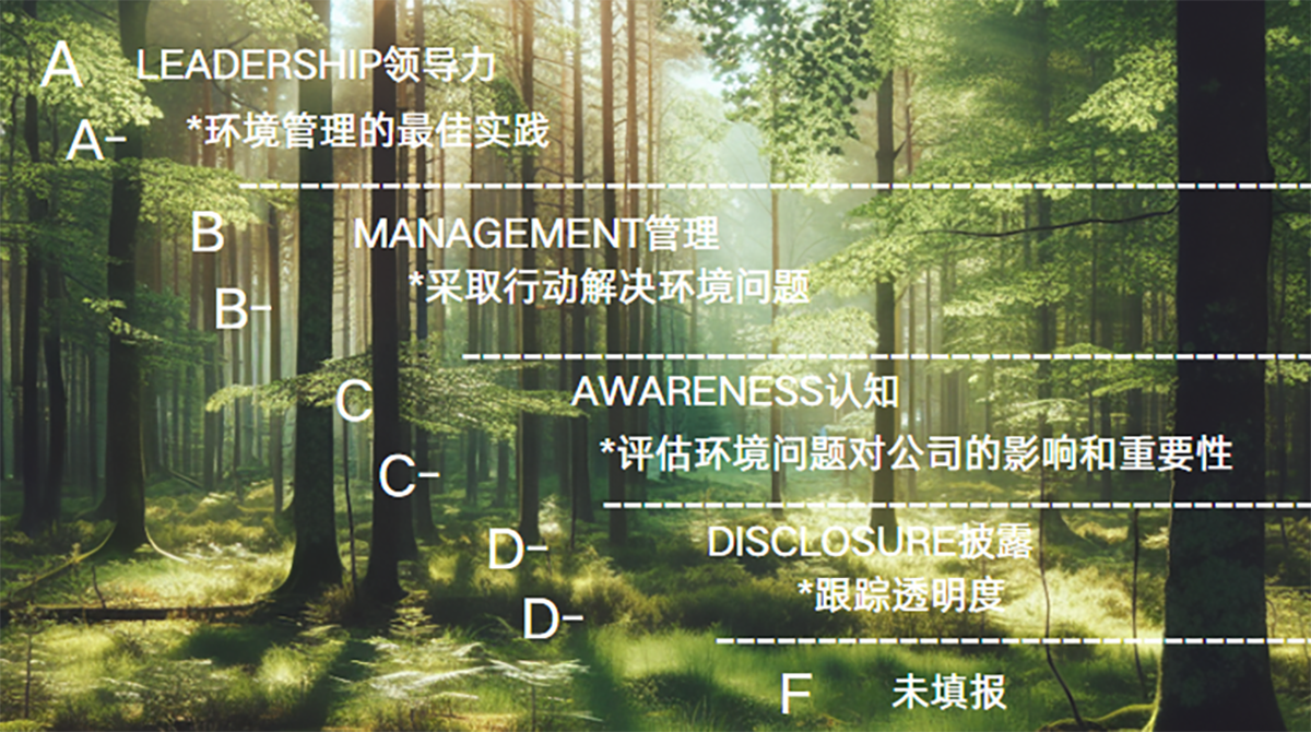 以碳减排为笔，绘就绿色新篇：欧博ABG官网股份获 CDP 双领域治理级最高档级认证